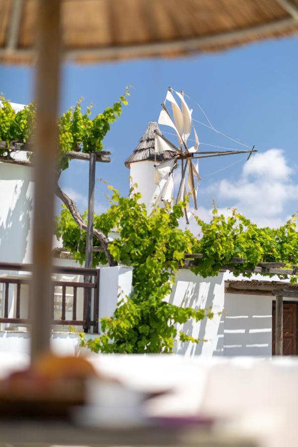 Anemomilos Beach Hotel Agia Anna  エクステリア 写真