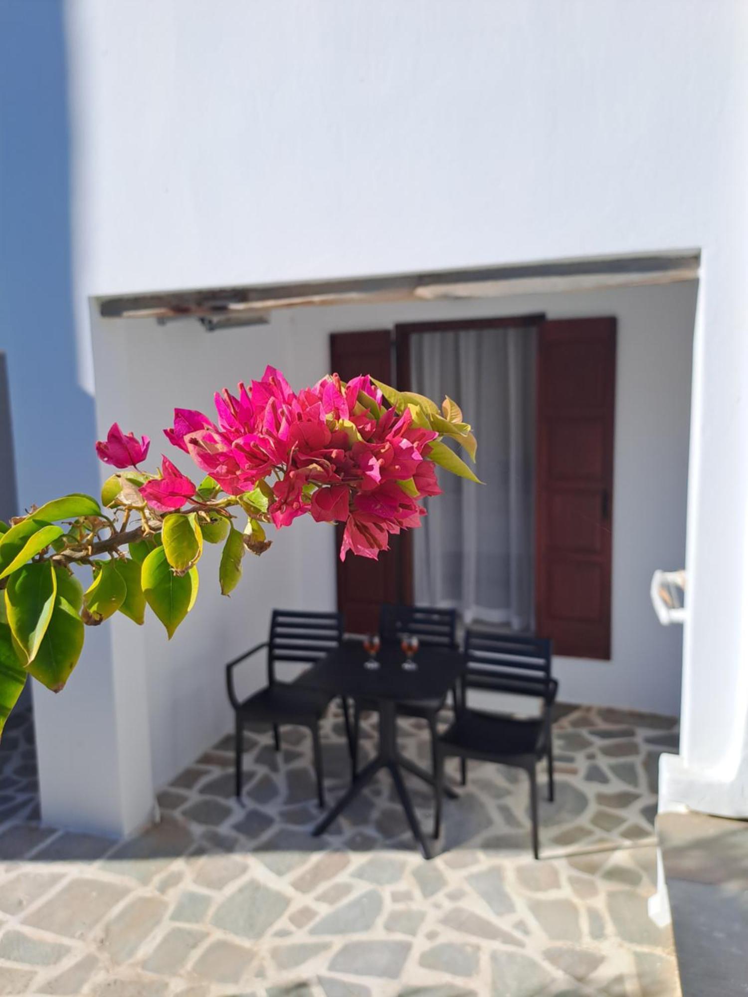 Anemomilos Beach Hotel Agia Anna  エクステリア 写真